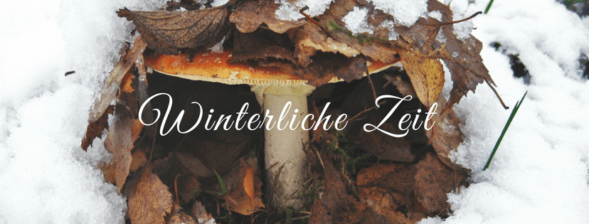 canva-winterzeit2